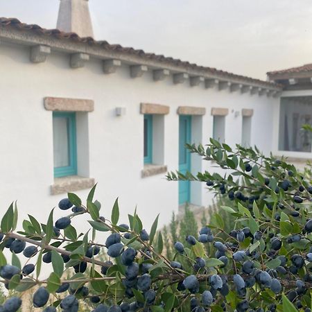 B&B Li Tauli Arzachena Extérieur photo
