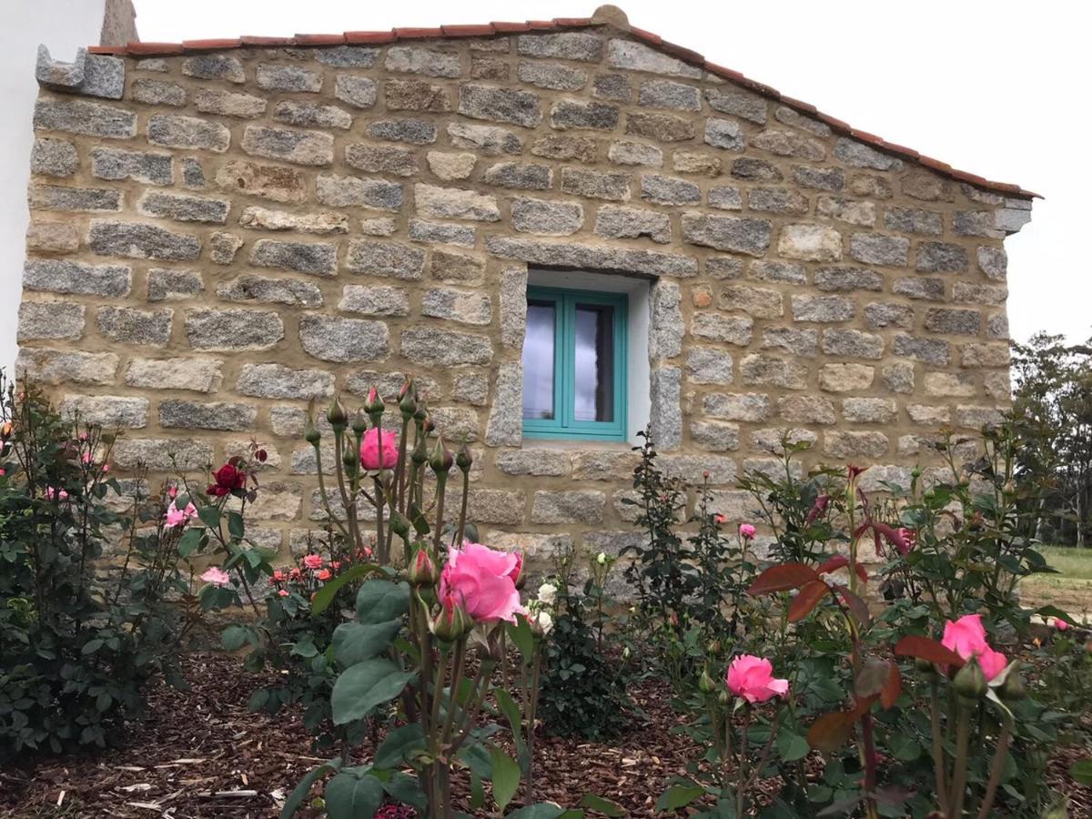 B&B Li Tauli Arzachena Extérieur photo