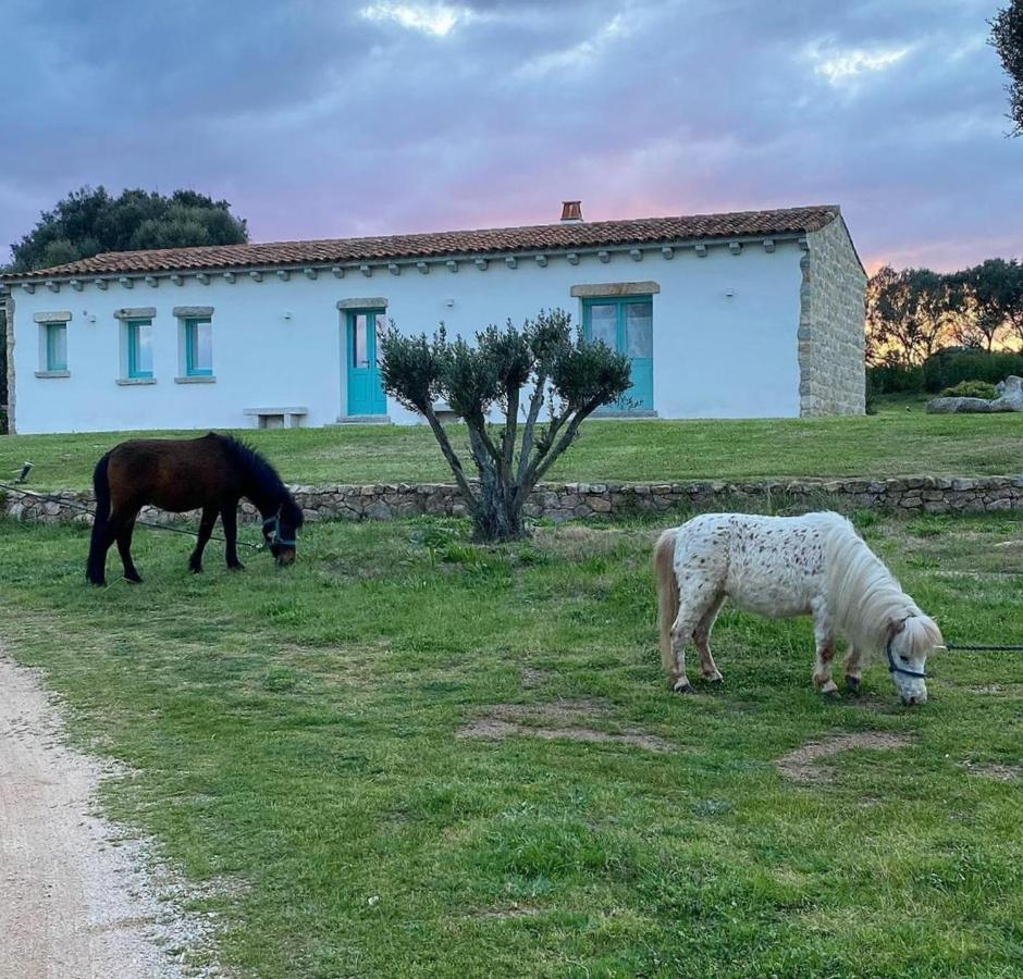 B&B Li Tauli Arzachena Extérieur photo
