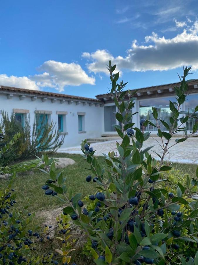 B&B Li Tauli Arzachena Extérieur photo