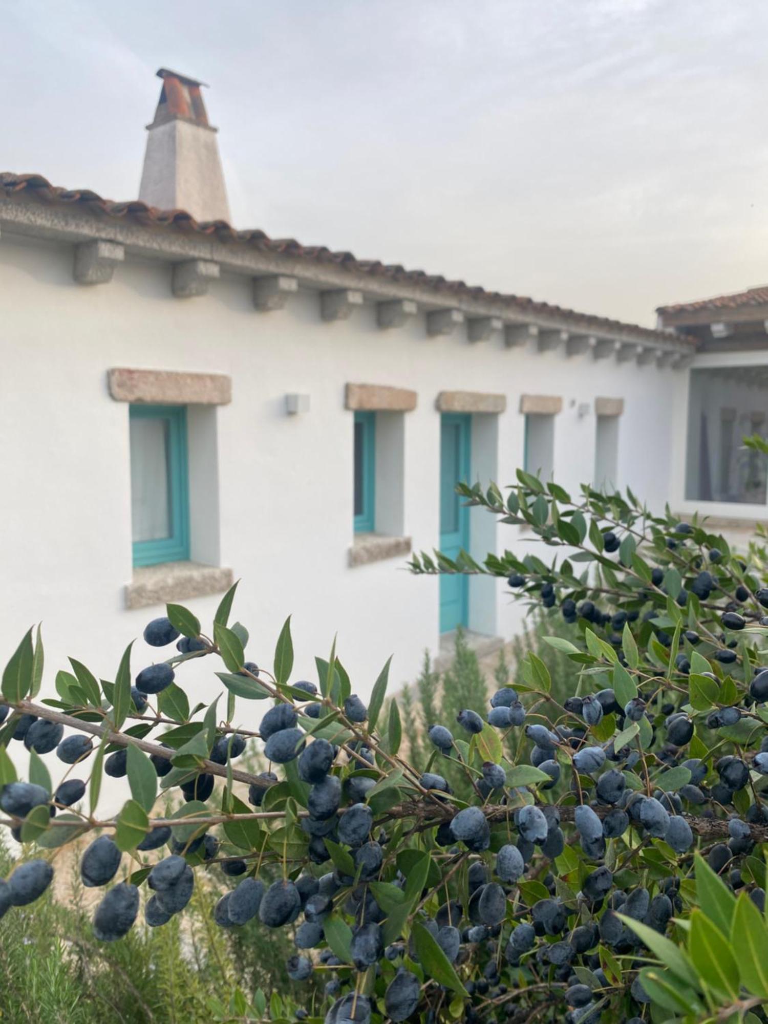 B&B Li Tauli Arzachena Extérieur photo